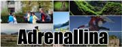 Adrenallina